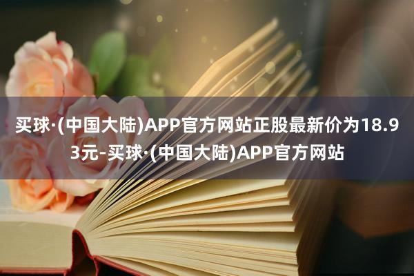 买球·(中国大陆)APP官方网站正股最新价为18.93元-买球·(中国大陆)APP官方网站