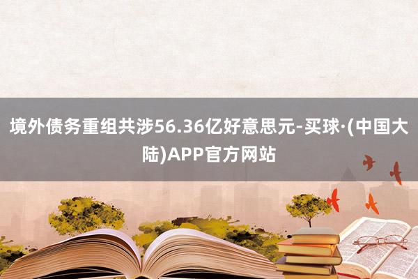 境外债务重组共涉56.36亿好意思元-买球·(中国大陆)APP官方网站