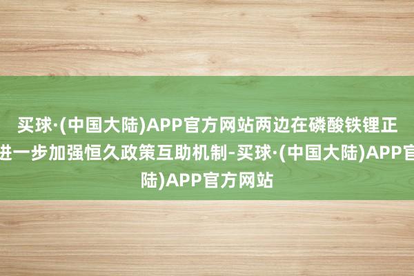 买球·(中国大陆)APP官方网站两边在磷酸铁锂正极材料进一步加强恒久政策互助机制-买球·(中国大陆)APP官方网站