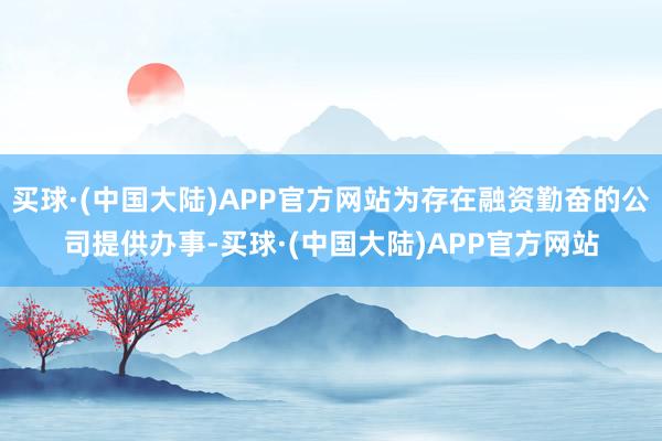 买球·(中国大陆)APP官方网站为存在融资勤奋的公司提供办事-买球·(中国大陆)APP官方网站