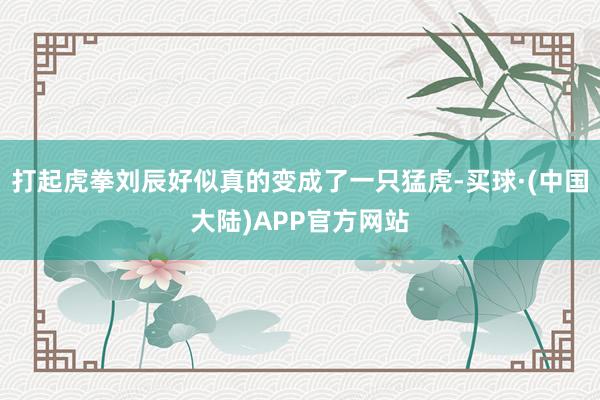 打起虎拳刘辰好似真的变成了一只猛虎-买球·(中国大陆)APP官方网站