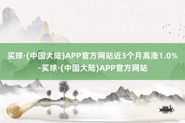 买球·(中国大陆)APP官方网站近3个月高涨1.0%-买球·(中国大陆)APP官方网站