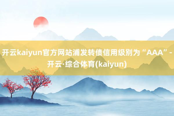 开云kaiyun官方网站浦发转债信用级别为“AAA”-开云·综合体育(kaiyun)