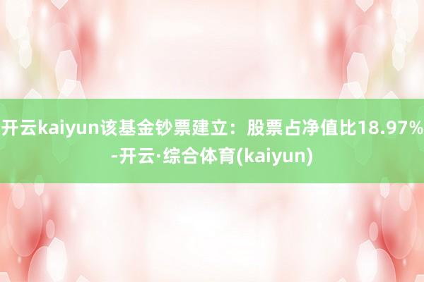 开云kaiyun该基金钞票建立：股票占净值比18.97%-开云·综合体育(kaiyun)