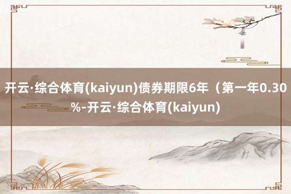 开云·综合体育(kaiyun)债券期限6年（第一年0.30%-开云·综合体育(kaiyun)